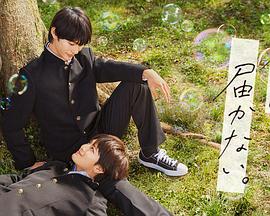 企业seo优化营销来的及吗